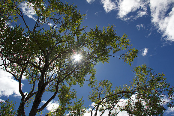 Chris_Downing_Photography_Landscape_Photography-10